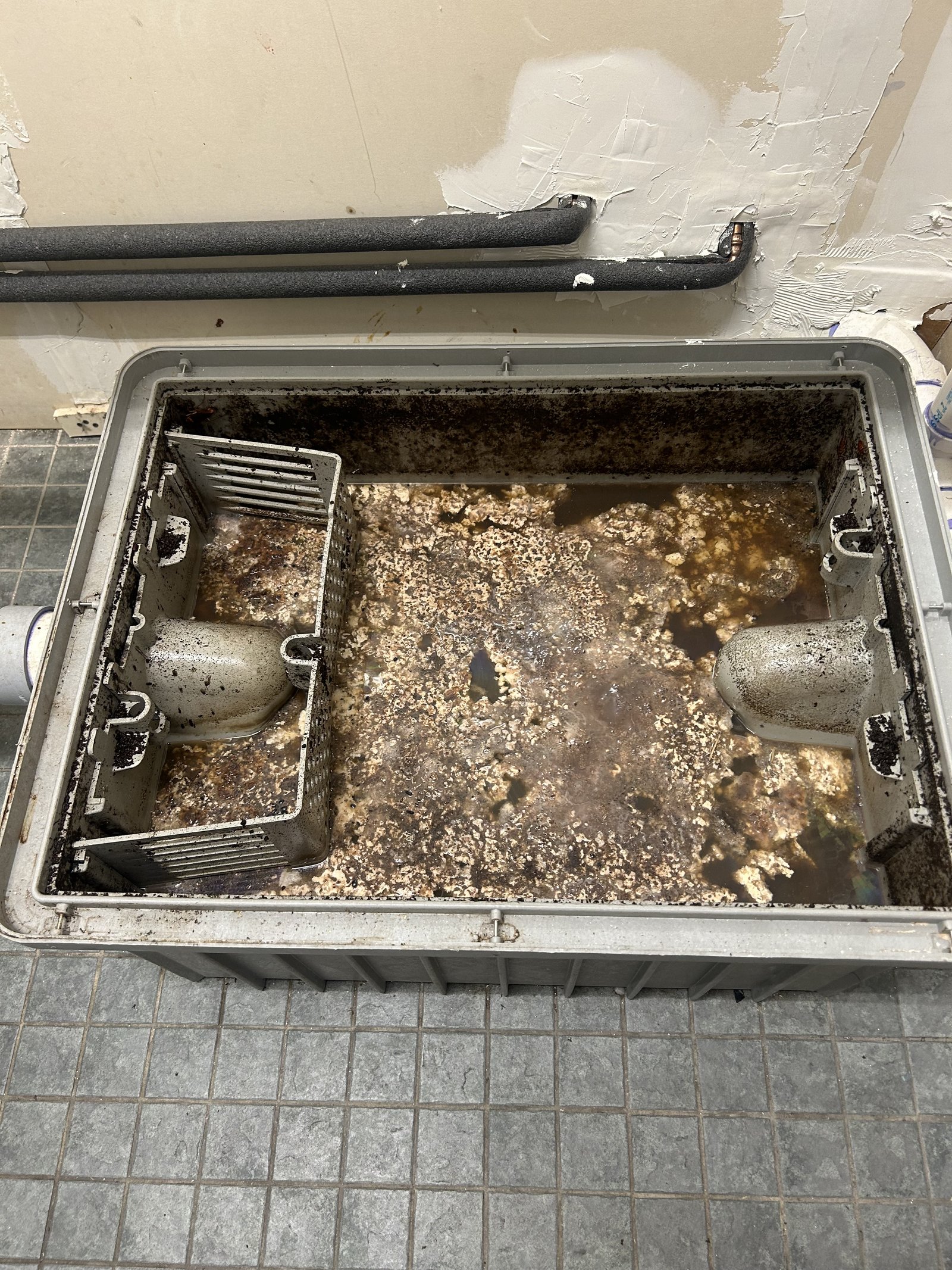 Grease trap filled with grease and debris